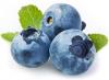 Bagaimana cara menanam blueberry di lahan dan merawatnya dengan benar?