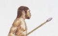Ciri-ciri umum spesies Homo erectus Mengapa Homo erectus
