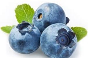 Bagaimana cara menanam blueberry di lahan dan merawatnya dengan benar?